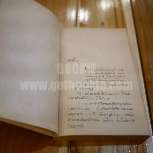 ชู้ - กุสต๊าฟ โฟลแบร์ รูปที่ 6