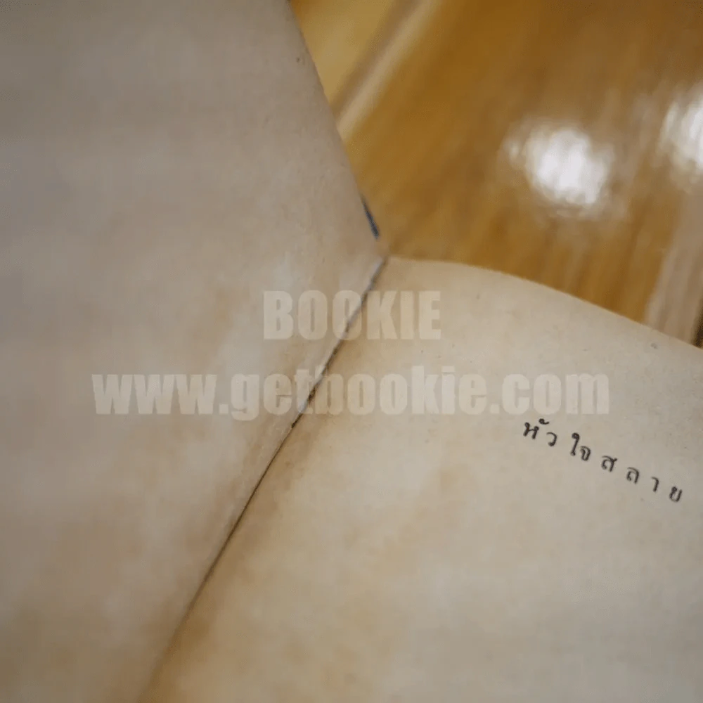 หัวใจสลาย - วัลยา ภู่ภิญโญ รูปที่ 6
