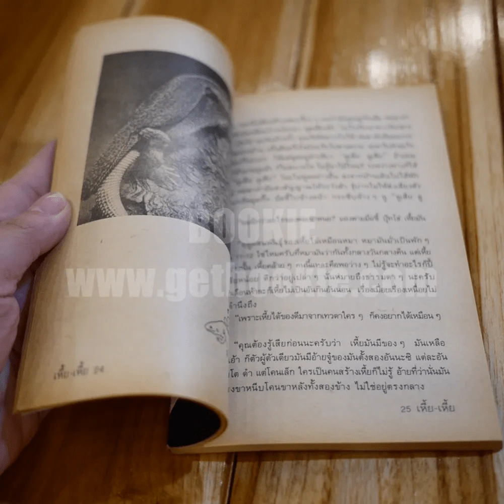 เรื่อง เหี้ย-เหี้ย - หมอนคร รูปที่ 4