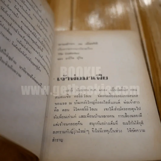 เดอะก๊อดฟาเธอร์ เจ้าพ่อมาเฟีย - นายตำรา ณ เมืองใต้ รูปที่ 7