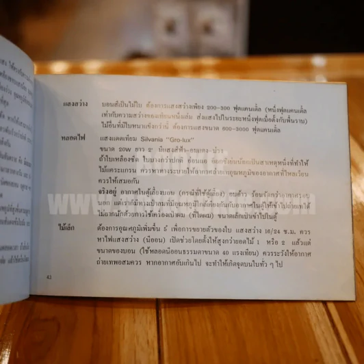 ตะลุยดงบอน - เชษฐา รูปที่ 13