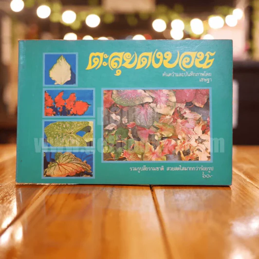 ตะลุยดงบอน - เชษฐา รูปที่ 1