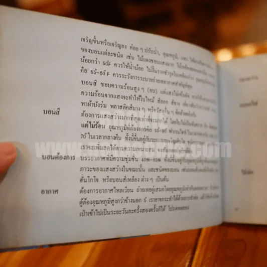 ตะลุยดงบอน - เชษฐา รูปที่ 12