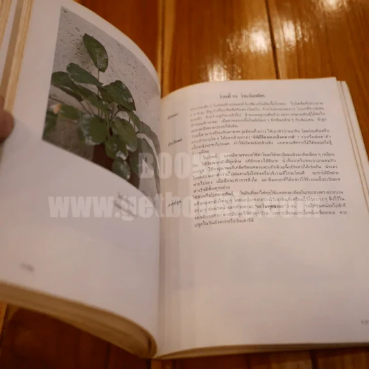 ตำราว่าน 108 - แสวง เพชรศิริ รูปที่ 10