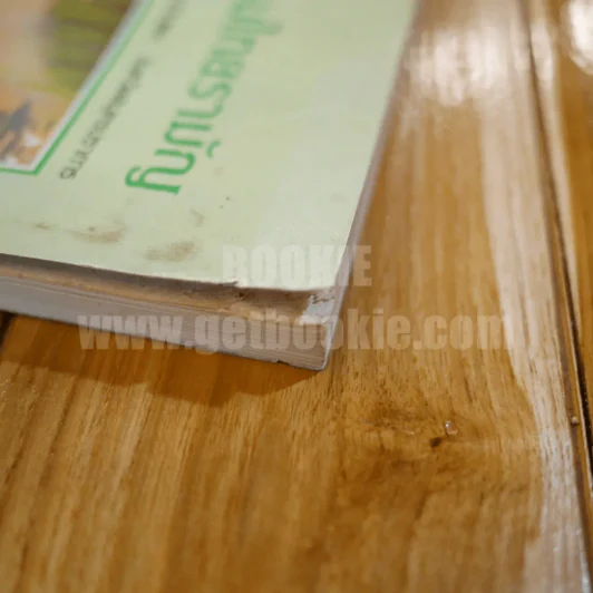 วรรณกรรมไทยรามัญ - จันทร์ศรี สุปัญญากร รูปที่ 5