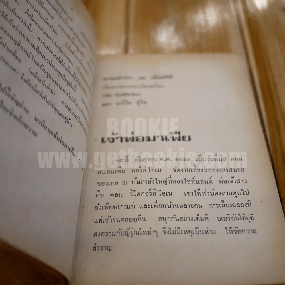 เดอะก๊อดฟาเธอร์ เจ้าพ่อมาเฟีย - นายตำรา ณ เมืองใต้ รูปที่ 7