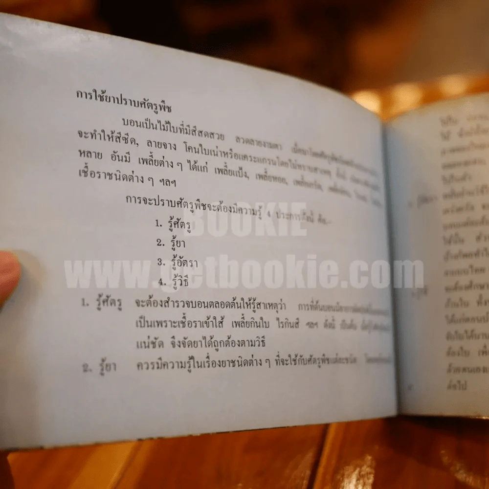 ตะลุยดงบอน - เชษฐา รูปที่ 14