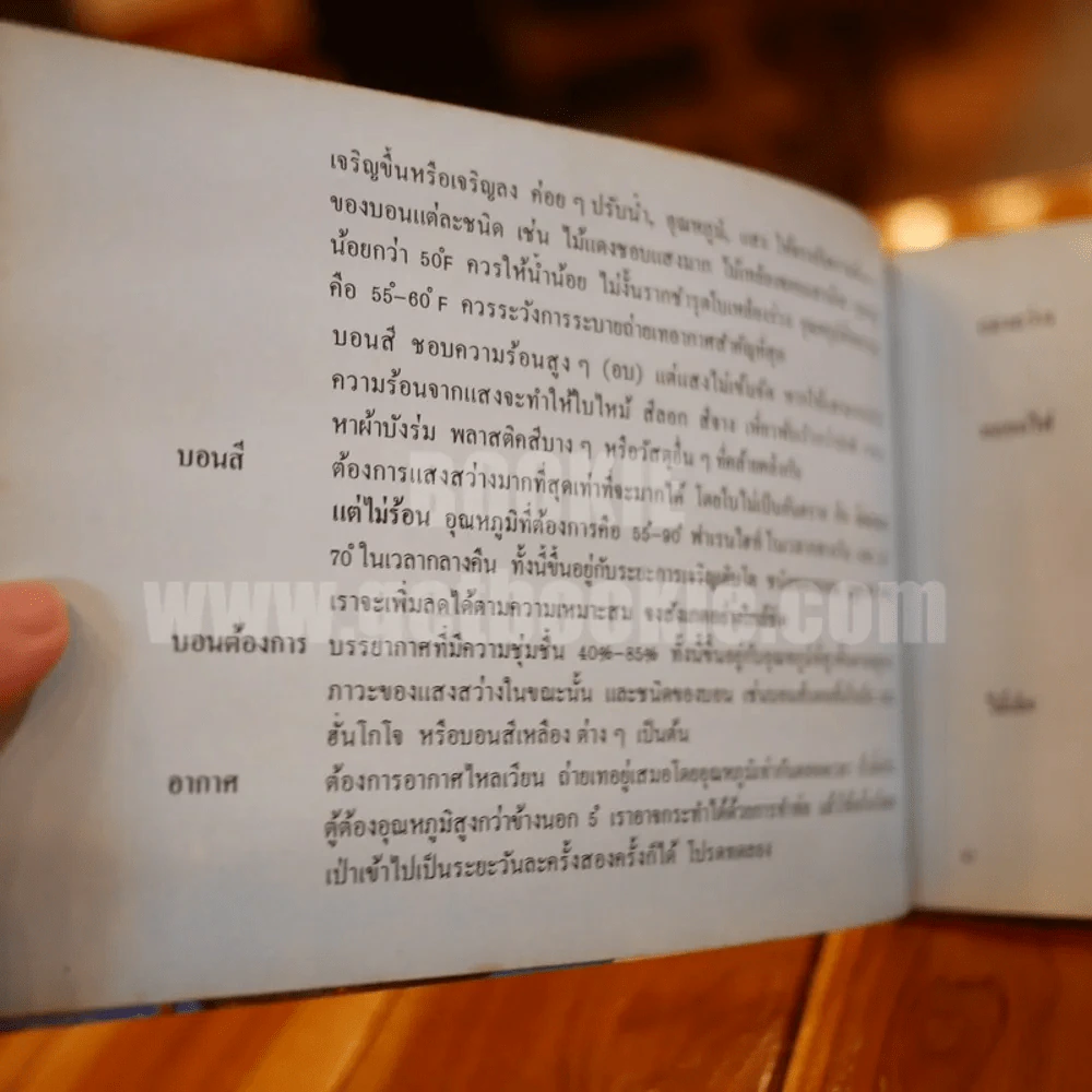 ตะลุยดงบอน - เชษฐา รูปที่ 12
