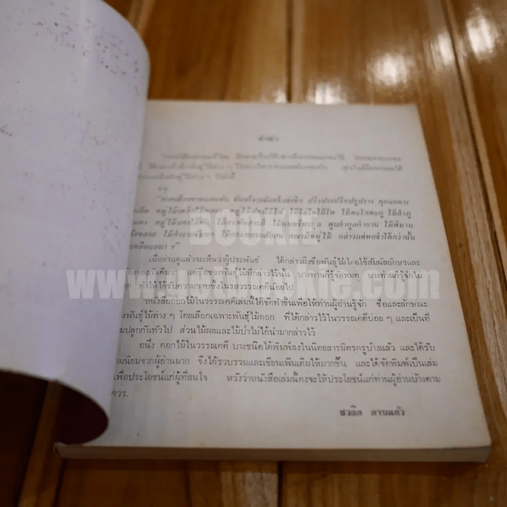 ดอกไม้ในวรรณคดี - ชวลิต ดาบแก้ว รูปที่ 3