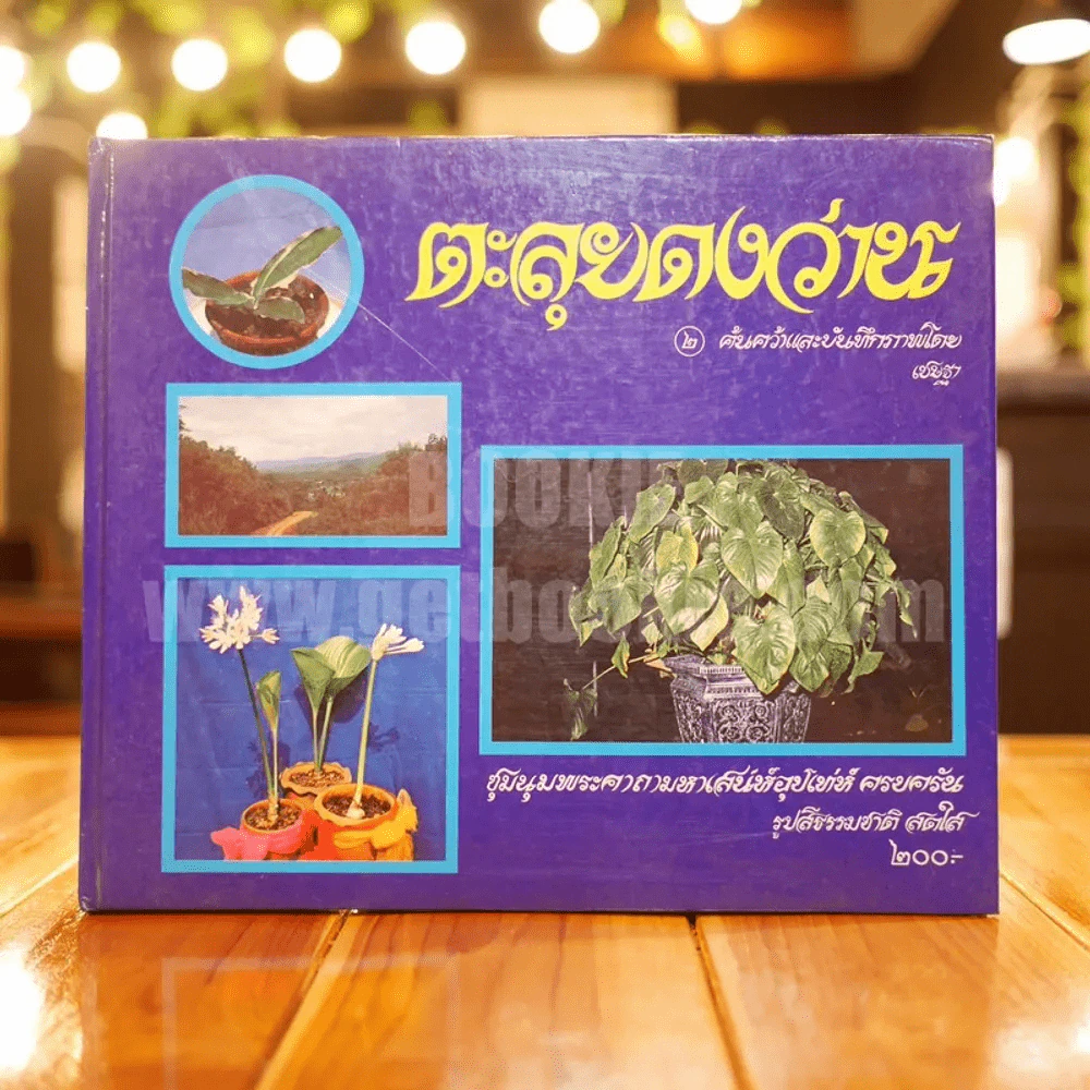 ตะลุยดงว่าน 2 - เชษฐา (ปกแข็ง) รูปที่ 1