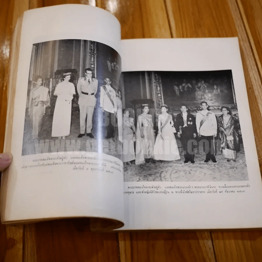 พระบรมเดชานุภาพ รูปที่ 12