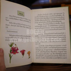 พืชมีประโยชน์ เล่ม 1-3 รูปที่ 8