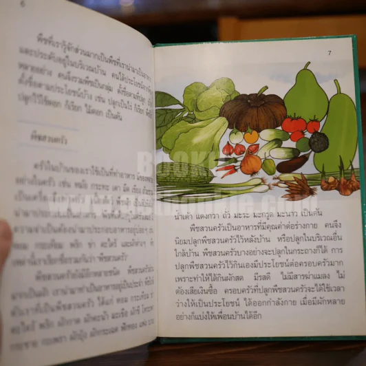 พืชมีประโยชน์ เล่ม 1-3 รูปที่ 16