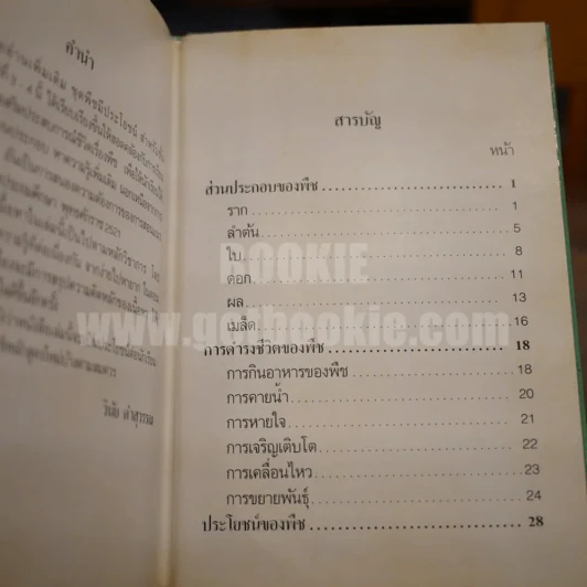 พืชมีประโยชน์ เล่ม 1-3 รูปที่ 10