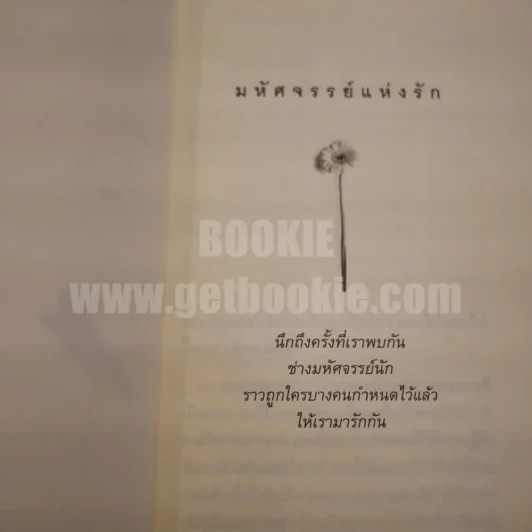 มหัศจรรย์แห่งรัก รูปที่ 4