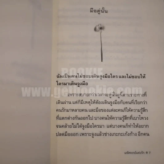 มหัศจรรย์แห่งรัก รูปที่ 5