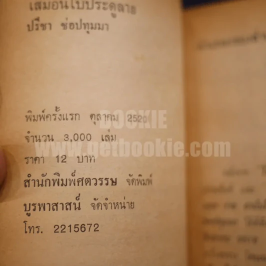 เสมือนใบประดู่ลาย - ปรีชา ช่อปทุมมา รูปที่ 6