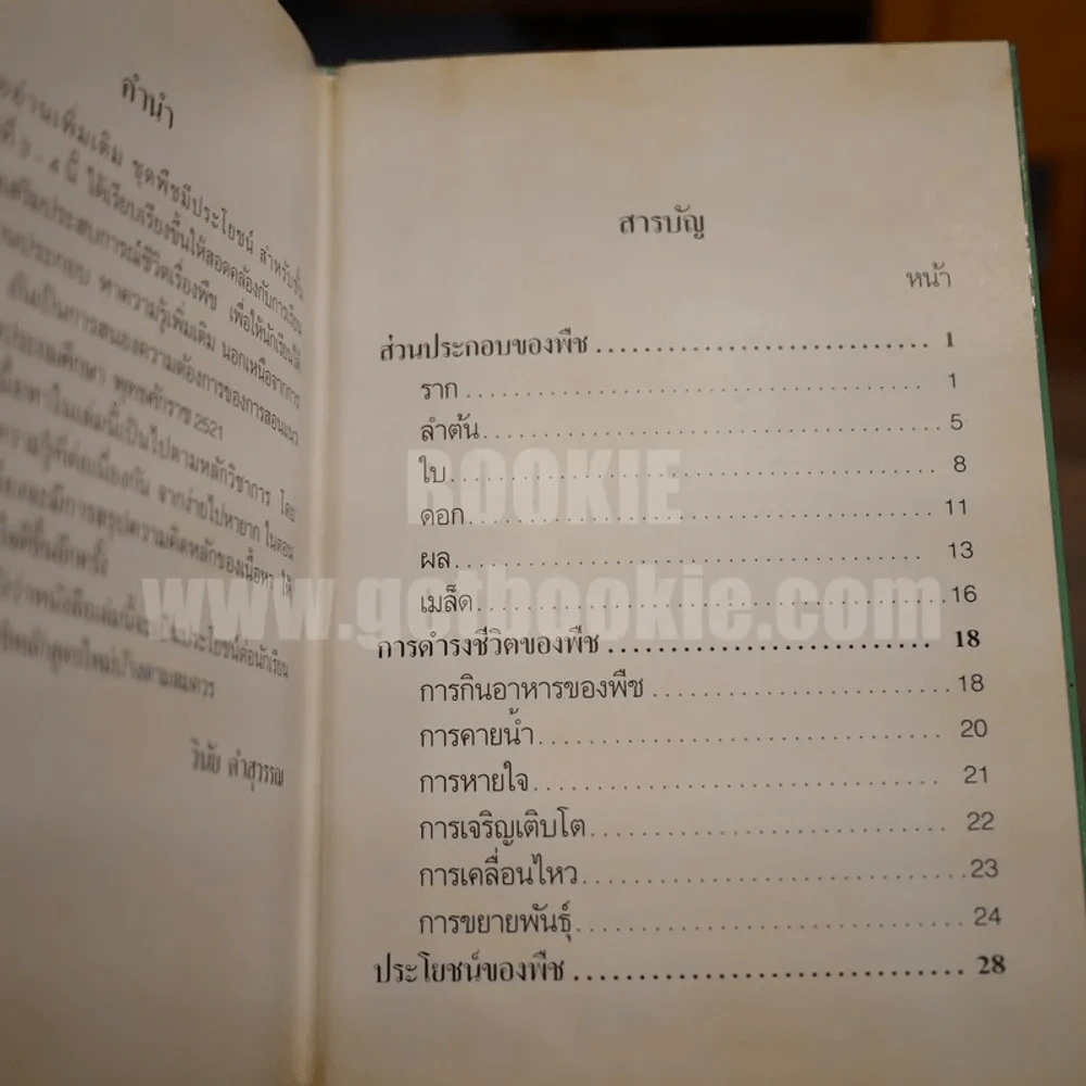 พืชมีประโยชน์ เล่ม 1-3 รูปที่ 10