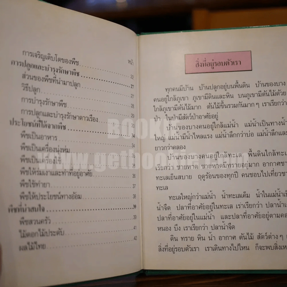 พืชมีประโยชน์ เล่ม 1-3 รูปที่ 15