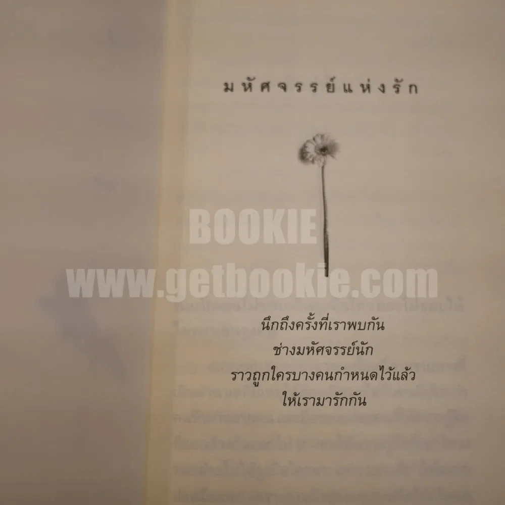 มหัศจรรย์แห่งรัก รูปที่ 4