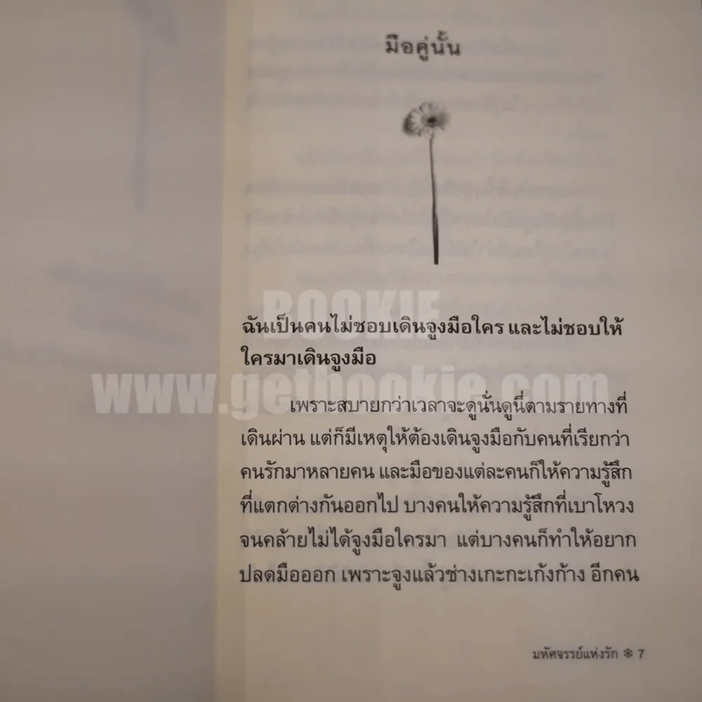 มหัศจรรย์แห่งรัก รูปที่ 5