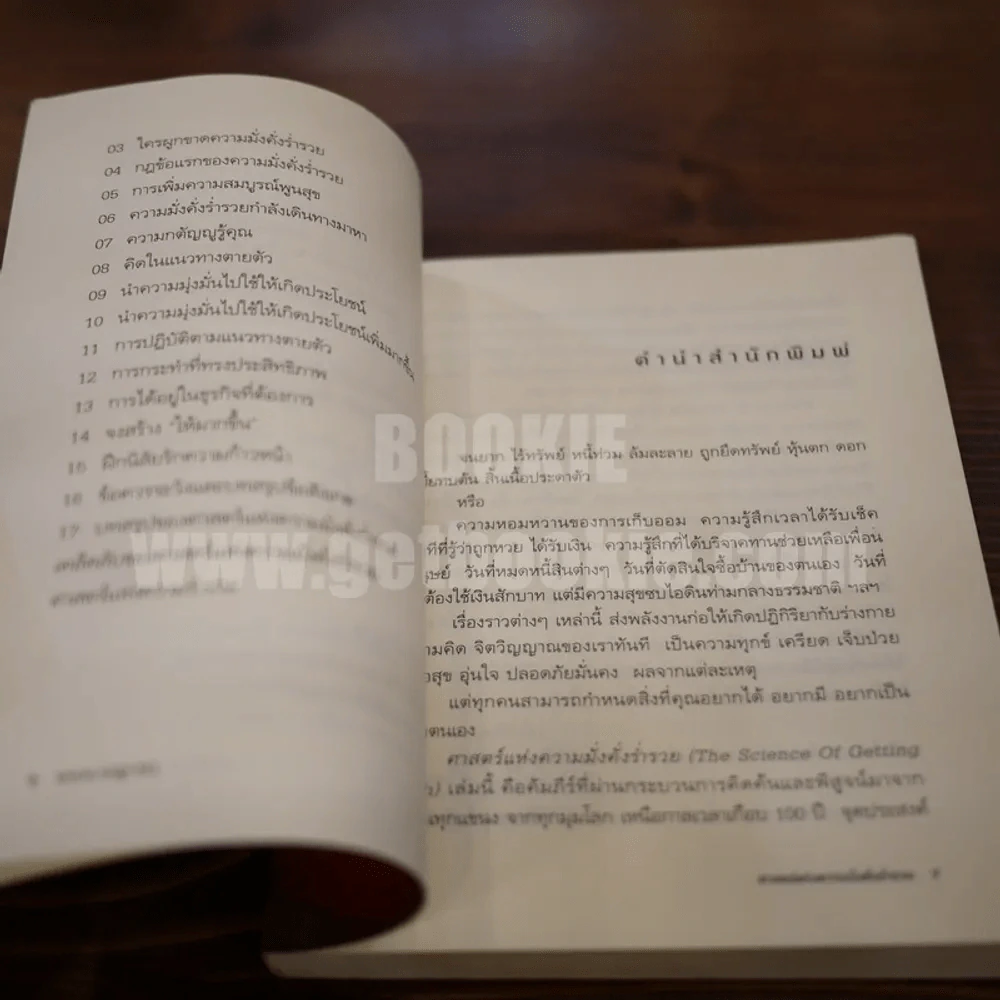 ศาสตร์แห่งความมั่งคั่งร่ำรวย รูปที่ 6