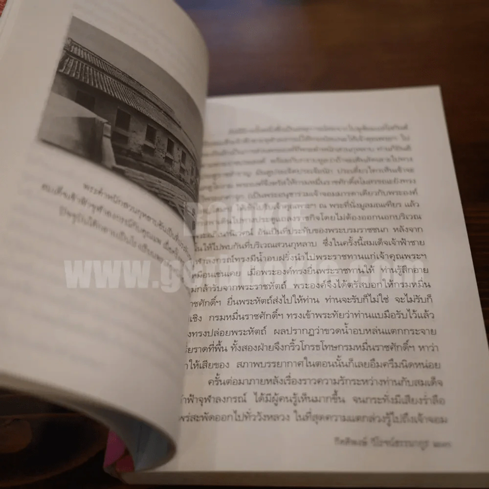 เรื่องรัก..รัก..ในวังหลวง - กิตติพงษ์ วิโรจน์ธรรมกูร รูปที่ 5