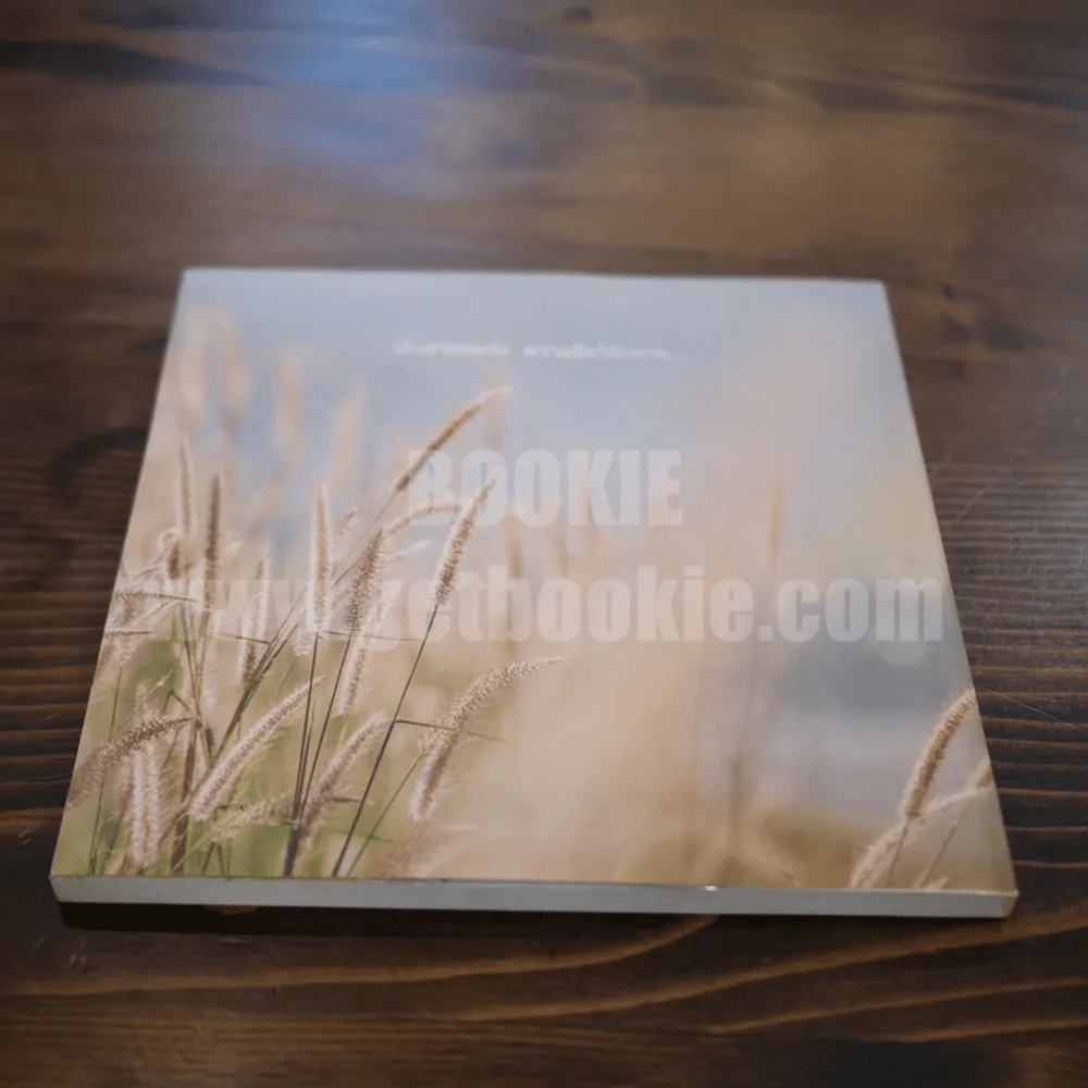 ลมซ่อนรัก The Photobook ณเดช รูปที่ 5