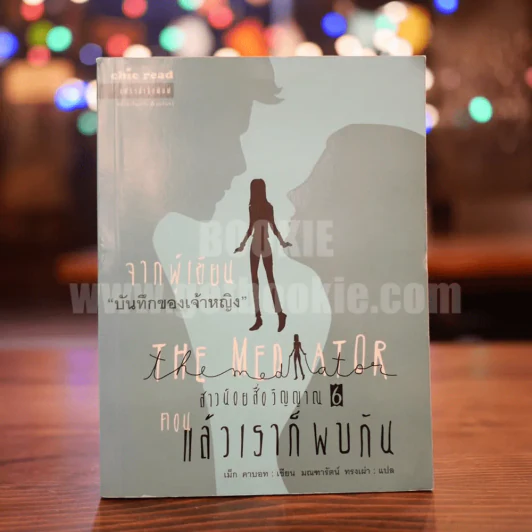 The Mediator สาวน้อยสื่อวิญญาณ 6 ตอน แล้วเราก็พบกัน รูปที่ 1