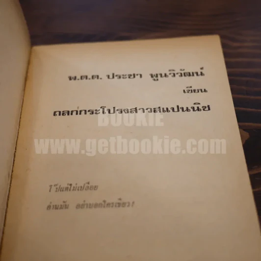 ถลกกระโปรงสาวสแปนนิช - พ.ต.ต.ประชา พูนวิวัฒน์ รูปที่ 3