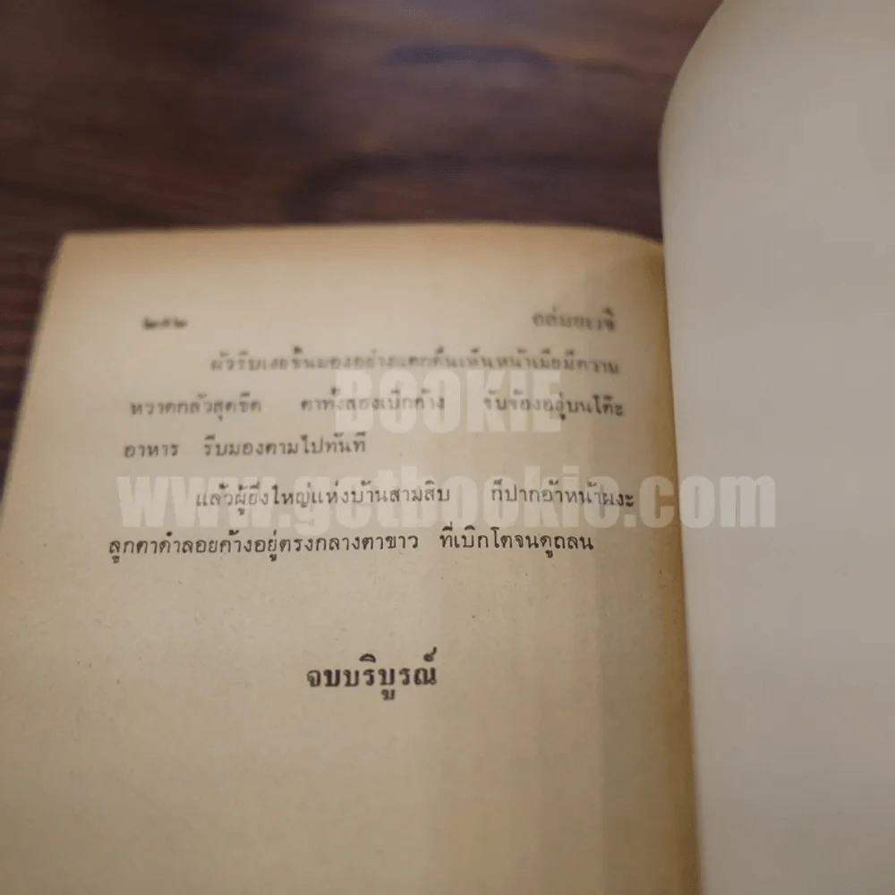 ถล่มอเวจี 2 เล่มจบ - สยุมภู ทศพล รูปที่ 6