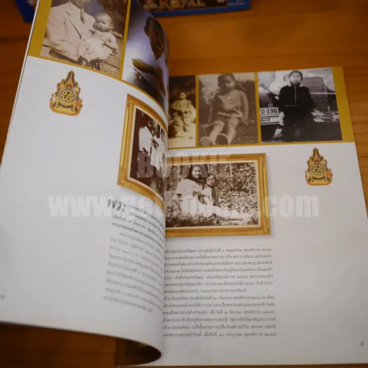 พระเจ้าแผ่นดิน ร.9 รวมภาพที่ตราตรึงในดวงใจปวงชนชาวไทย รูปที่ 8
