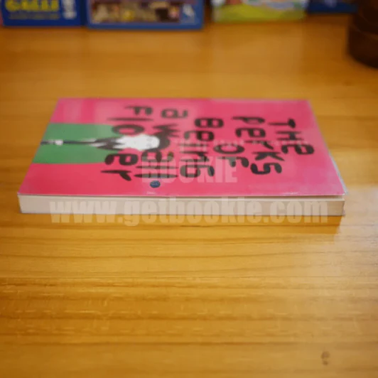 The Perks Of Being A Wallflower จดหมายรักจากนายไม้ประดับ รูปที่ 3