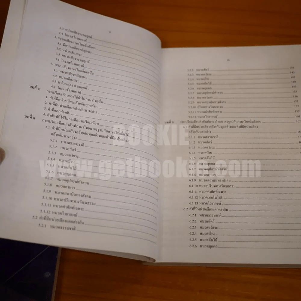 ภาษาถิ่นไทย - วิไลศักดิ์ กิ่งคำ (มีรอยขีดเขียน) รูปที่ 6