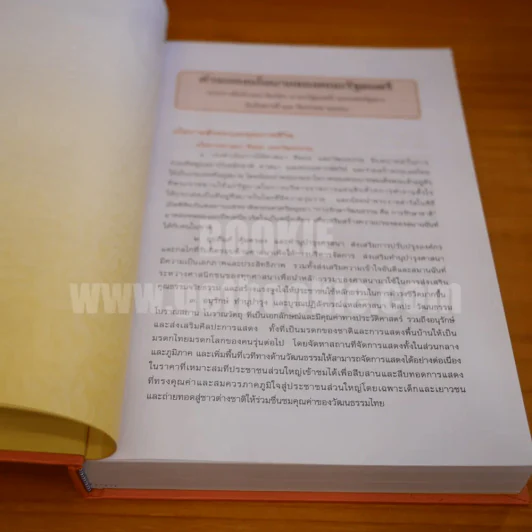 พระไตรปิฎก ฉบับสำหรับประชาชน ตอนว่าด้วยพระสูตร รูปที่ 6