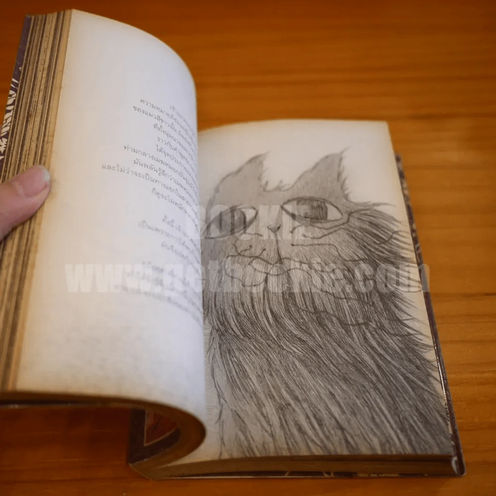 Nine Lives - ทรงศีล ทิวสมบุญ รูปที่ 7