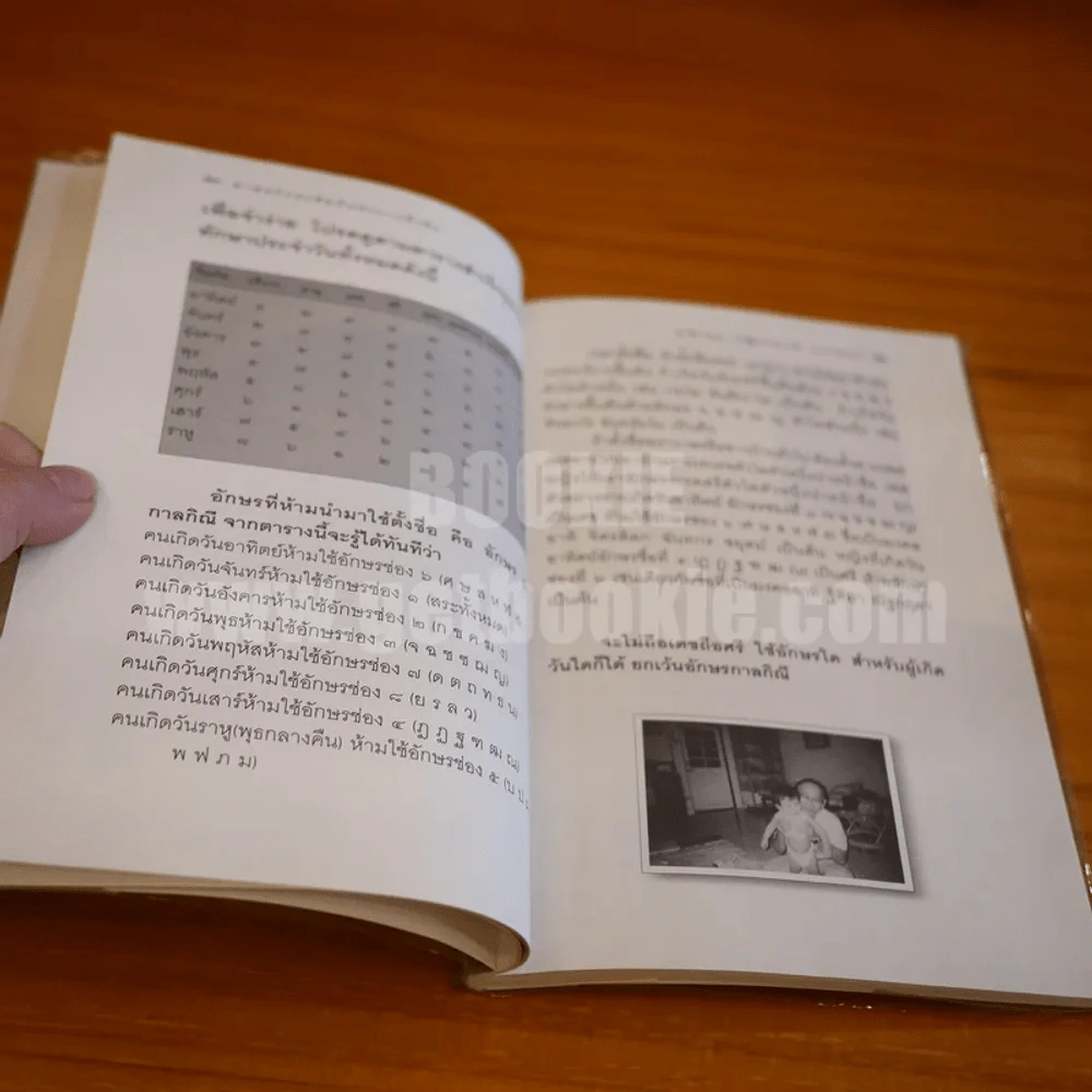 ศาสตร์และศิลป์แห่งการตั้งชื่อ -ศ.พิเศษ เสฐียรพงษ์ วรรณปก ราชบัณฑิต รูปที่ 6
