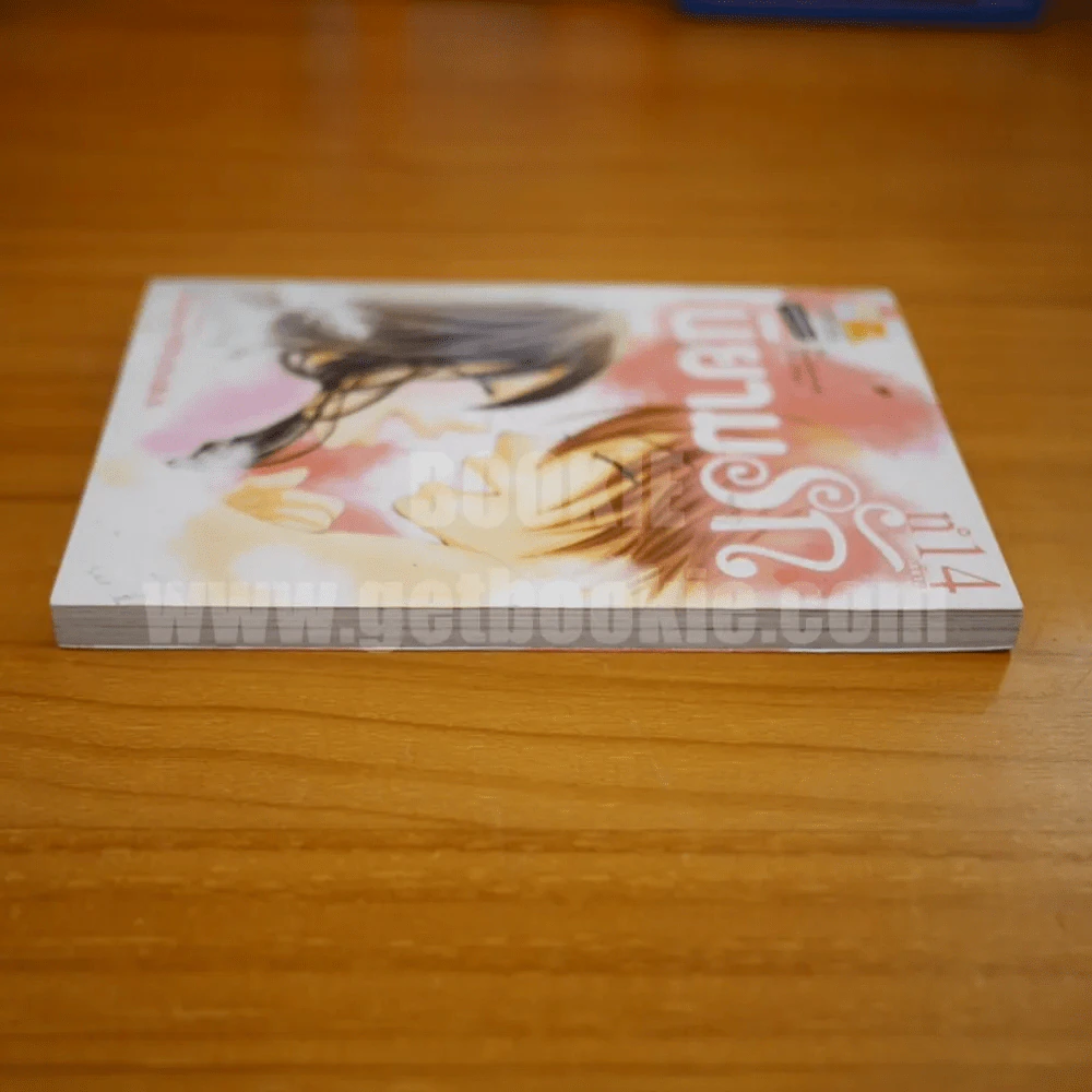 นิยามรัก เล่ม 14 รูปที่ 3