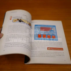 Success Stories in Electronic Commerce รูปที่ 3
