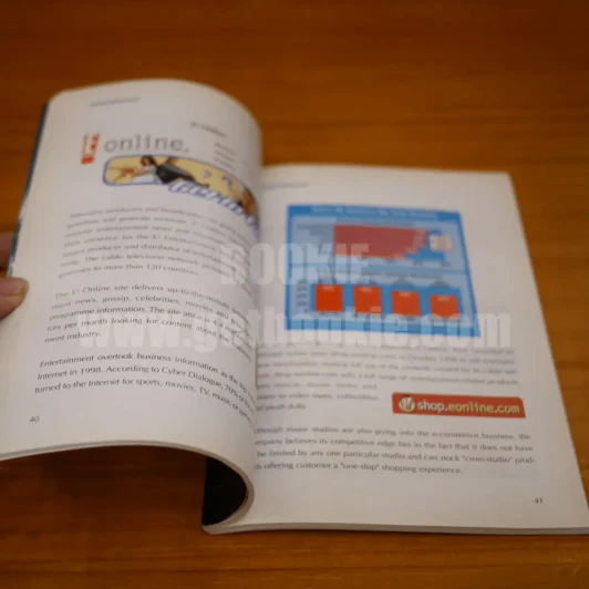 Success Stories in Electronic Commerce รูปที่ 3