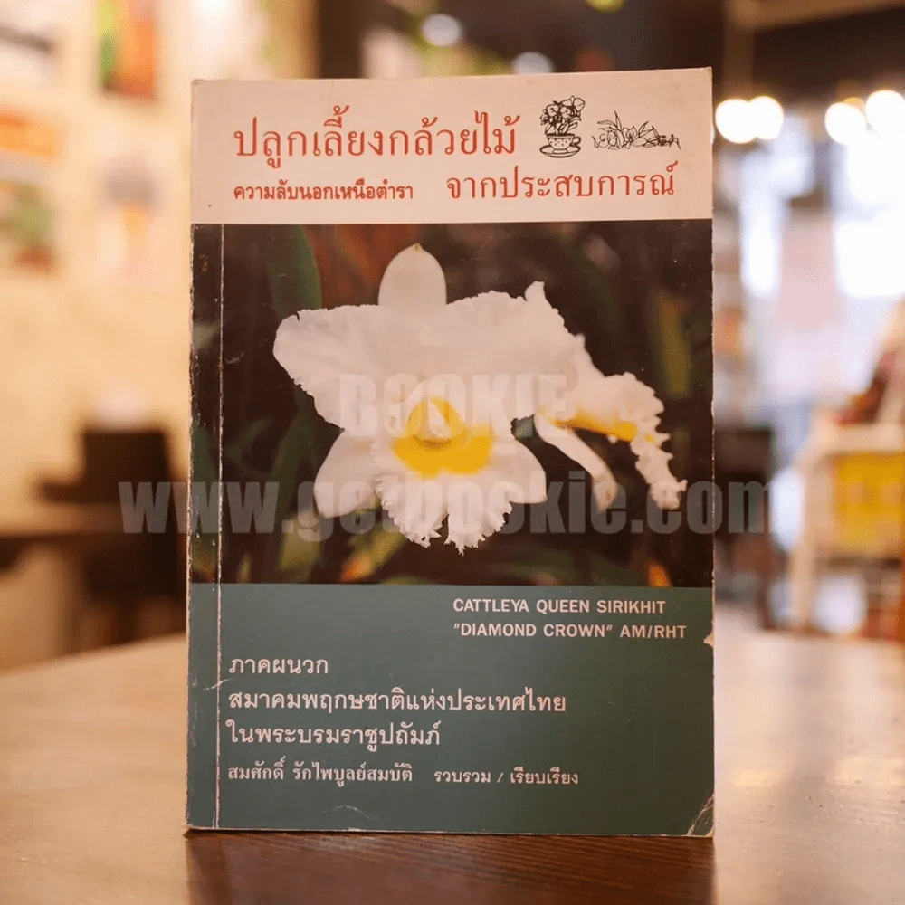 ปลูกเลี้ยงกล้วยไม้ ความลับนอกเหนือตำรา จากประสบการณ์ - สมศักดิ์ รักไพบูลย์สมบัติ รูปที่ 1