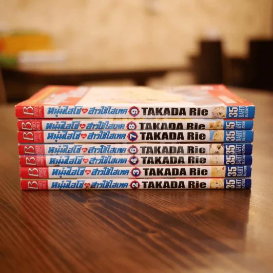หนุ่มไฮโซกับสาวใช้ไฮเทค 9 เล่มจบ (ขาดเล่ม 1) รูปที่ 2