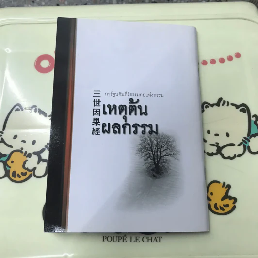 การ์ตูนคัมภีร์ธรรม เหตุต้น-ผลกรรม รูปที่ 13