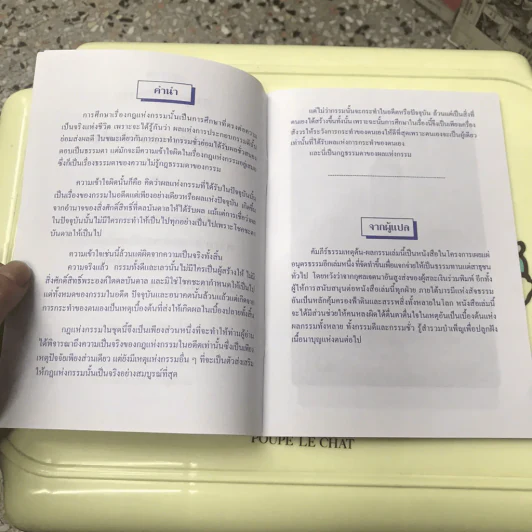 การ์ตูนคัมภีร์ธรรม เหตุต้น-ผลกรรม รูปที่ 7