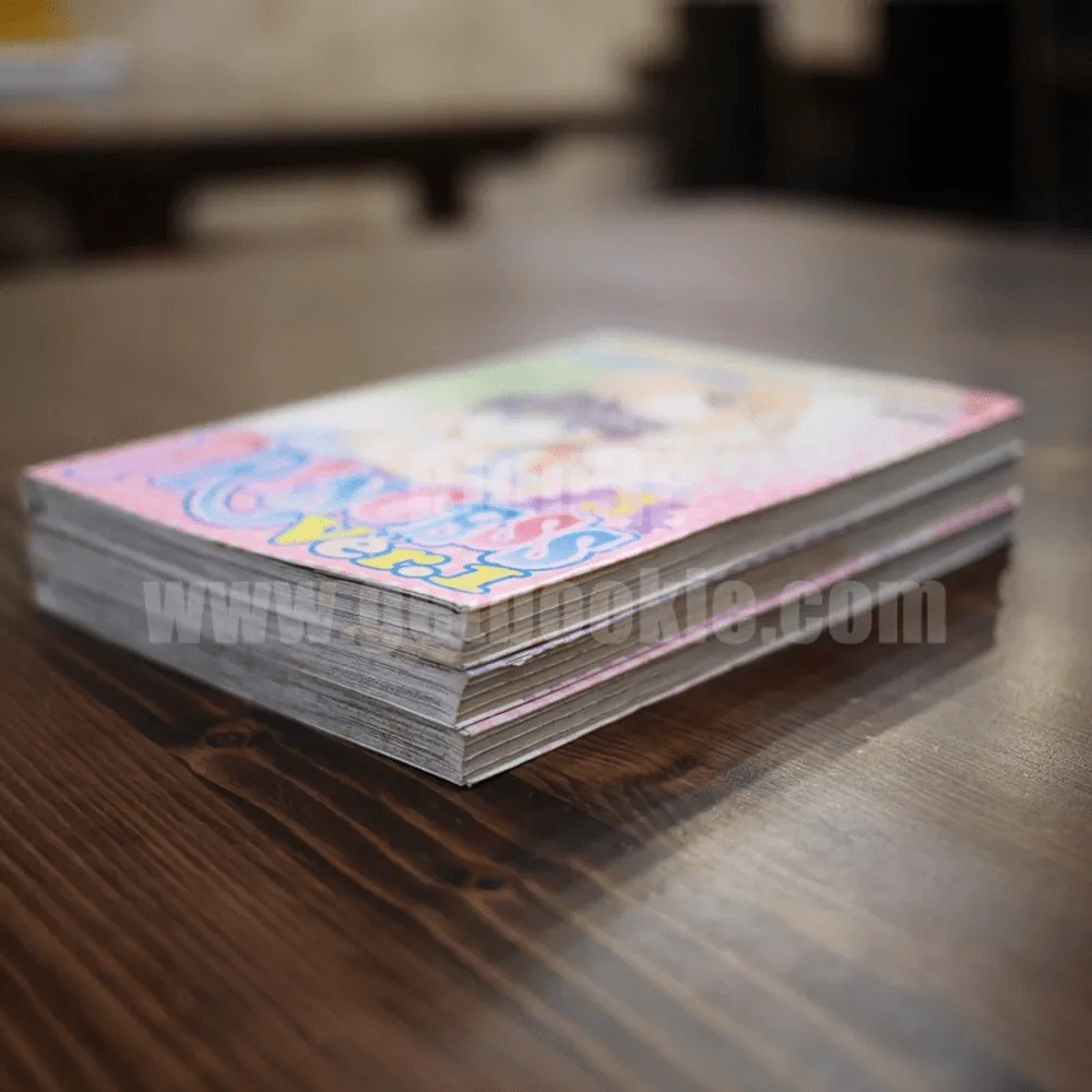 Princess Ver.1 3 เล่มจบ รูปที่ 4