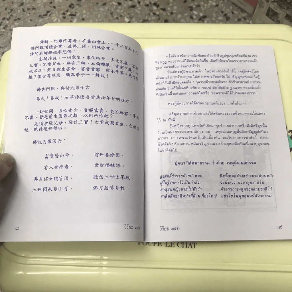 การ์ตูนคัมภีร์ธรรม เหตุต้น-ผลกรรม รูปที่ 9