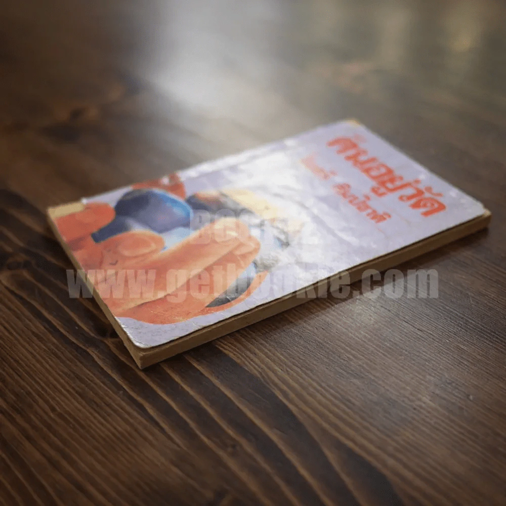 คนอยู่วัด ฉบับนักเรียน - ไมตรี ลิมปิชาติ รูปที่ 5