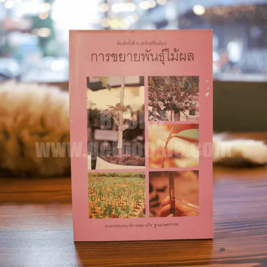 การขยายพันธุ์ไม้ผล รูปที่ 1