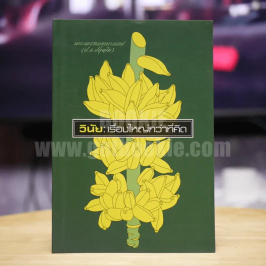 วินัย: เรื่องใหญ่กว่าที่คิด รูปที่ 1