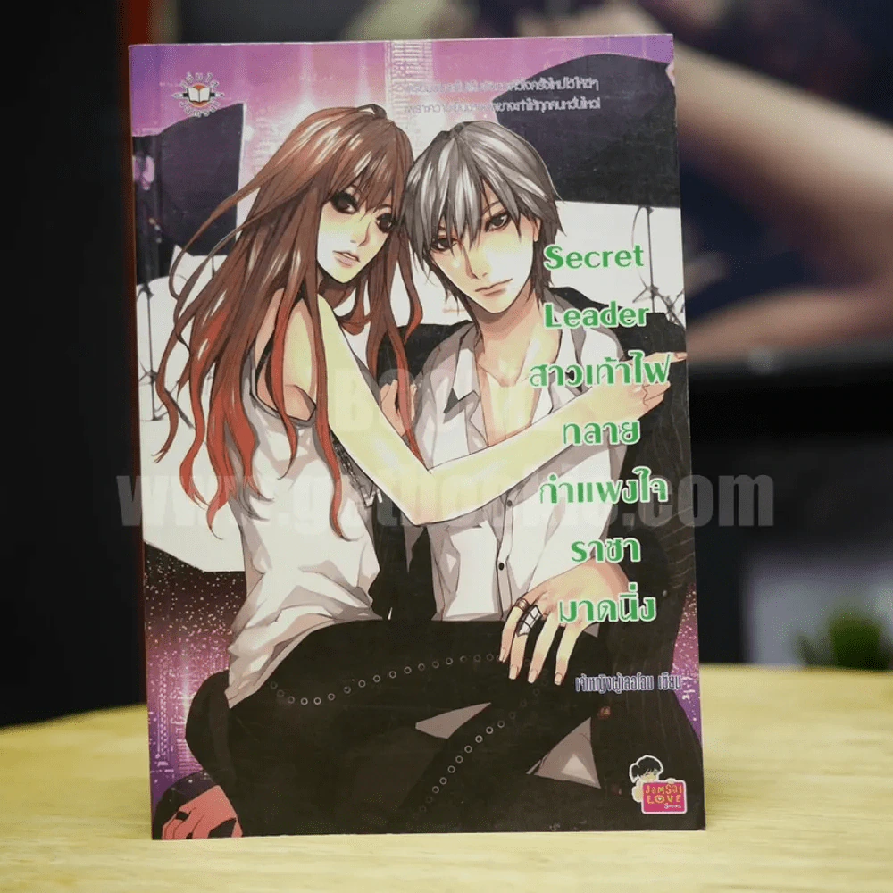 Secret Leader สาวเท้าไฟทลายกำแพงใจราชามาดนิ่ง - เจ้าหญิงผู้เลอโฉม รูปที่ 1